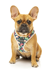 Dinosaur Land Step In Harness